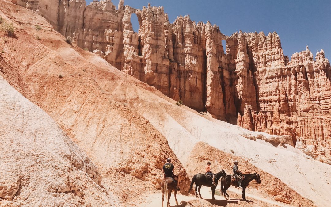 Emergencies While Trail Riding On Horses