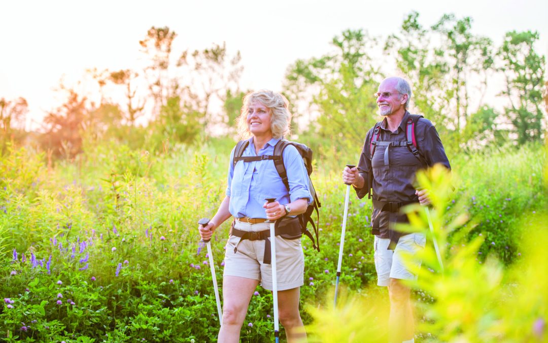 How to Pack for a Day Hike: A Blog on How to Prepare Appropriately for a Day Trip